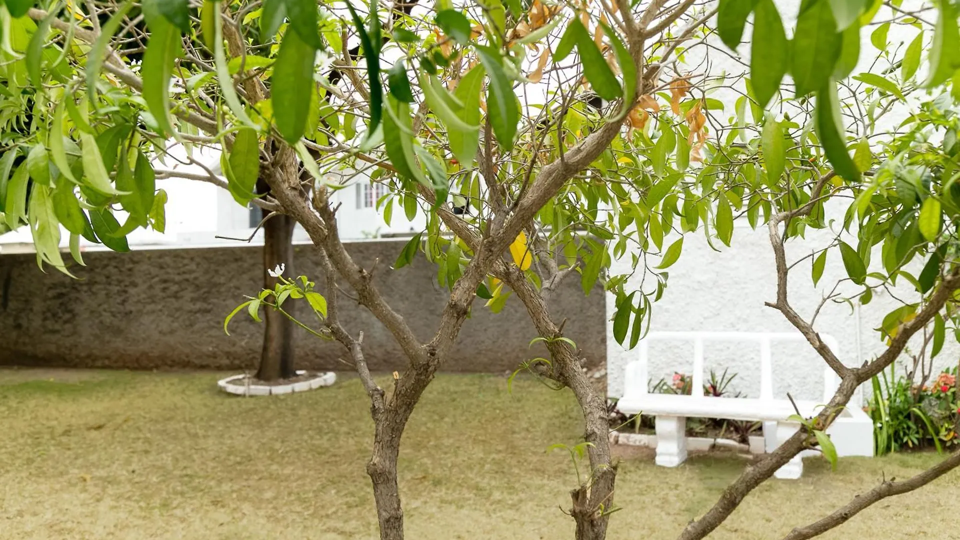 Cityscape Living At Surbiton Kingston Jamaica